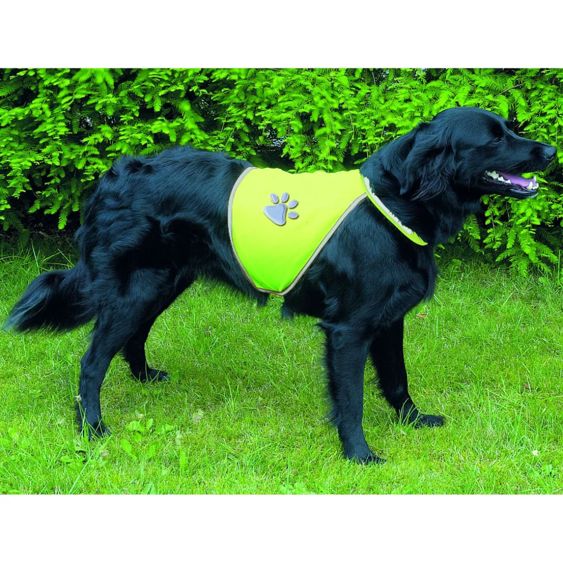 Trixie Dog Sicherheitsweste für Hunde XS