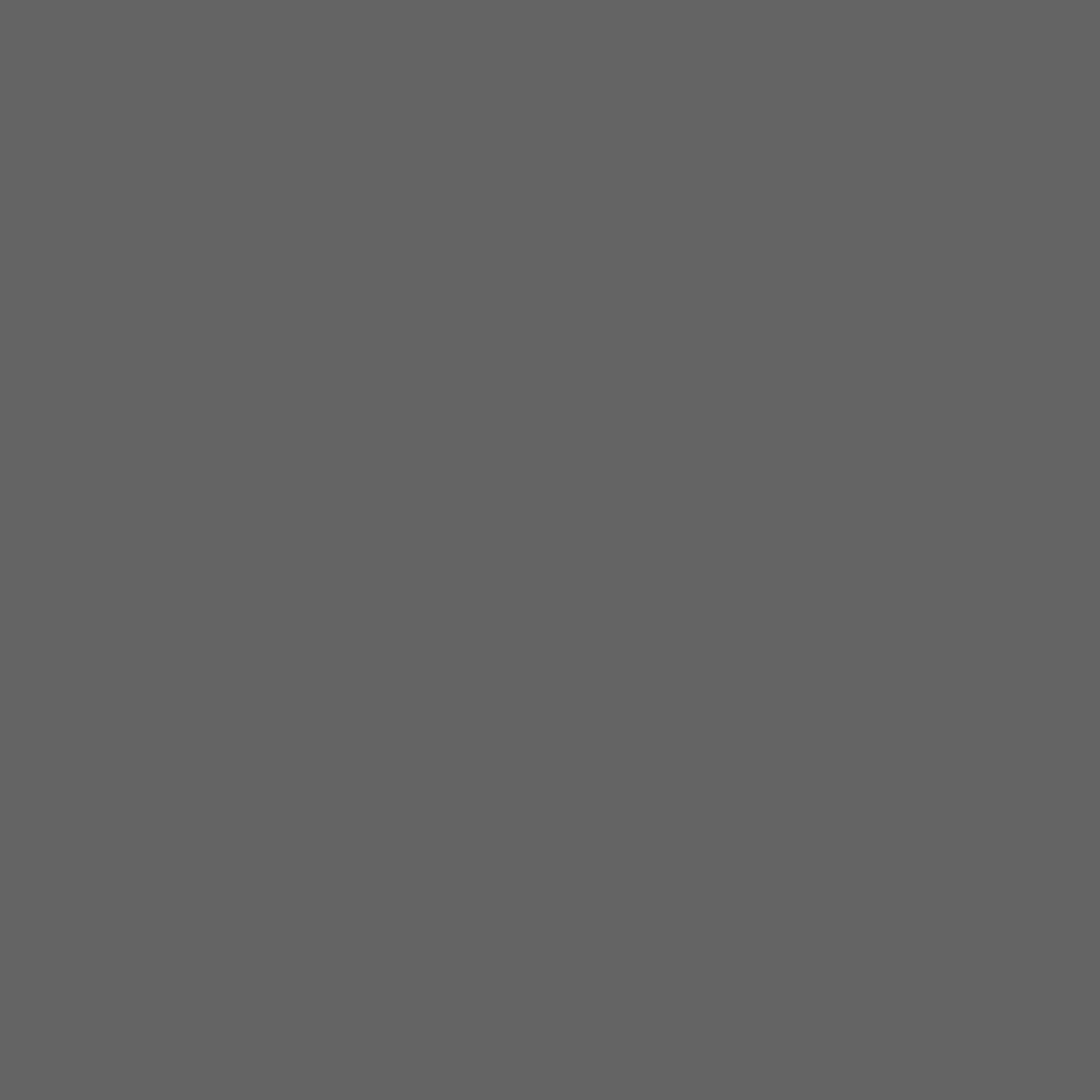 Vincent Garten Charme grau 0,75 L
