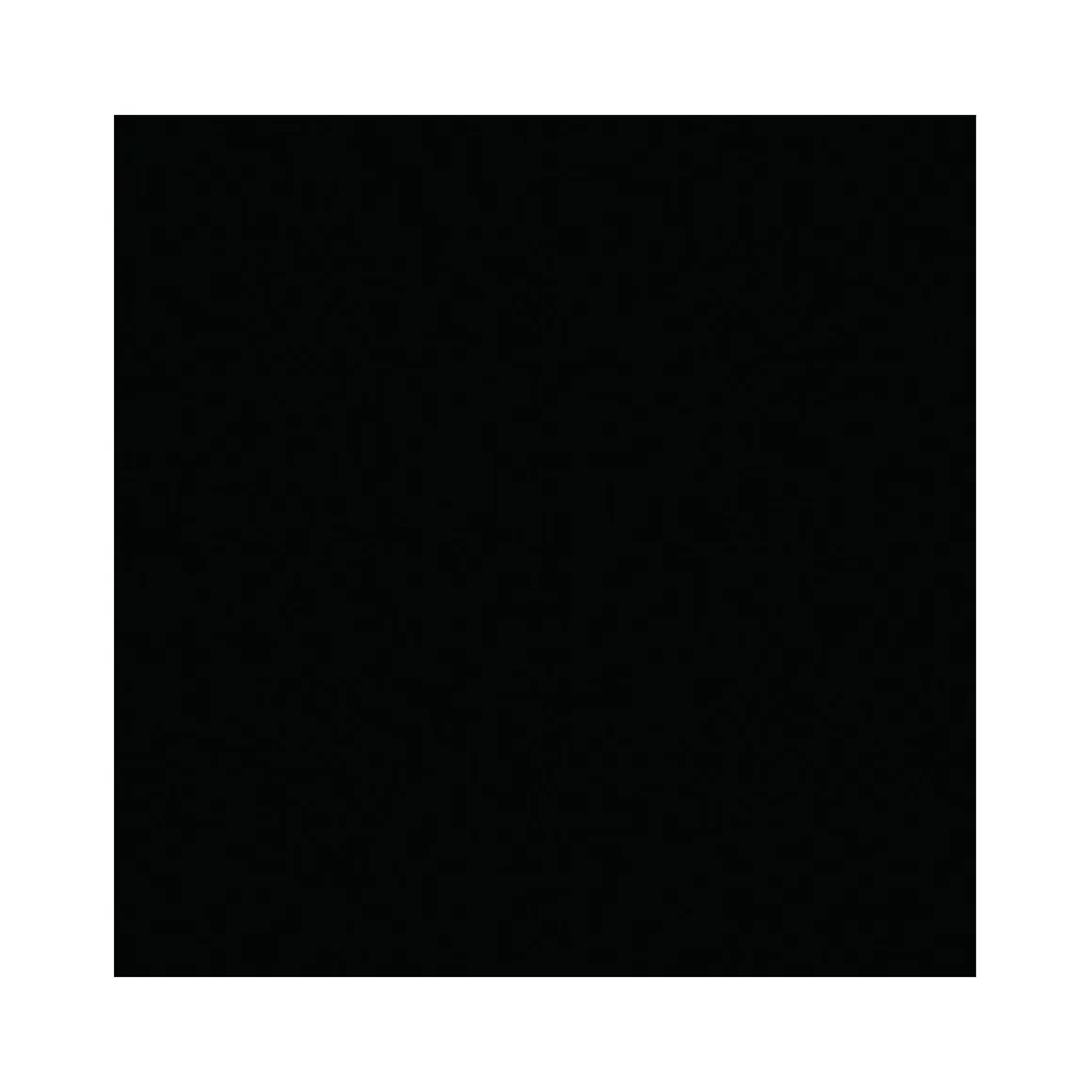 Vincent 2in1 Buntlack Tiefschwarz seidenmatt 375 ml