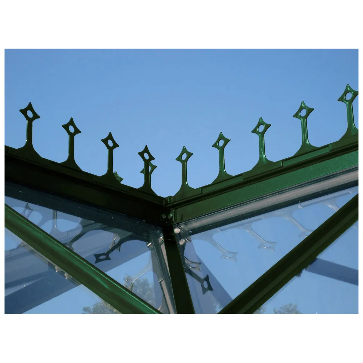 Vitavia Firstkrone grün für Sirius
