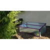 Vitavia Frühbeet Levana violett