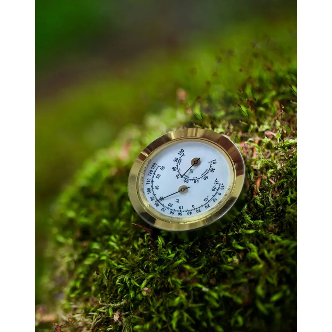 Vitavia Hygrometer Blister