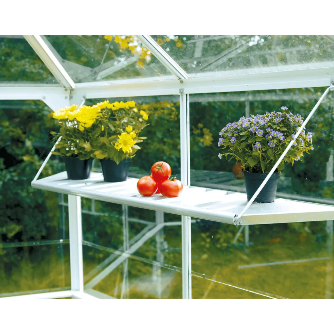 Vitavia Regal Hera klappbar