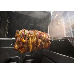 Weber Gasgrill SPIRIT E-210
