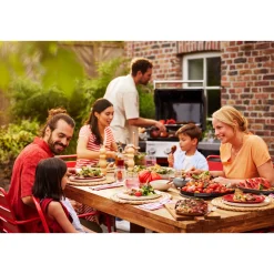 Weber Gasgrill SPIRIT E-210