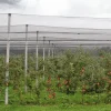 Windhager Hagelschutz-Netz 5x4 m grün Maschenweite 8 mm