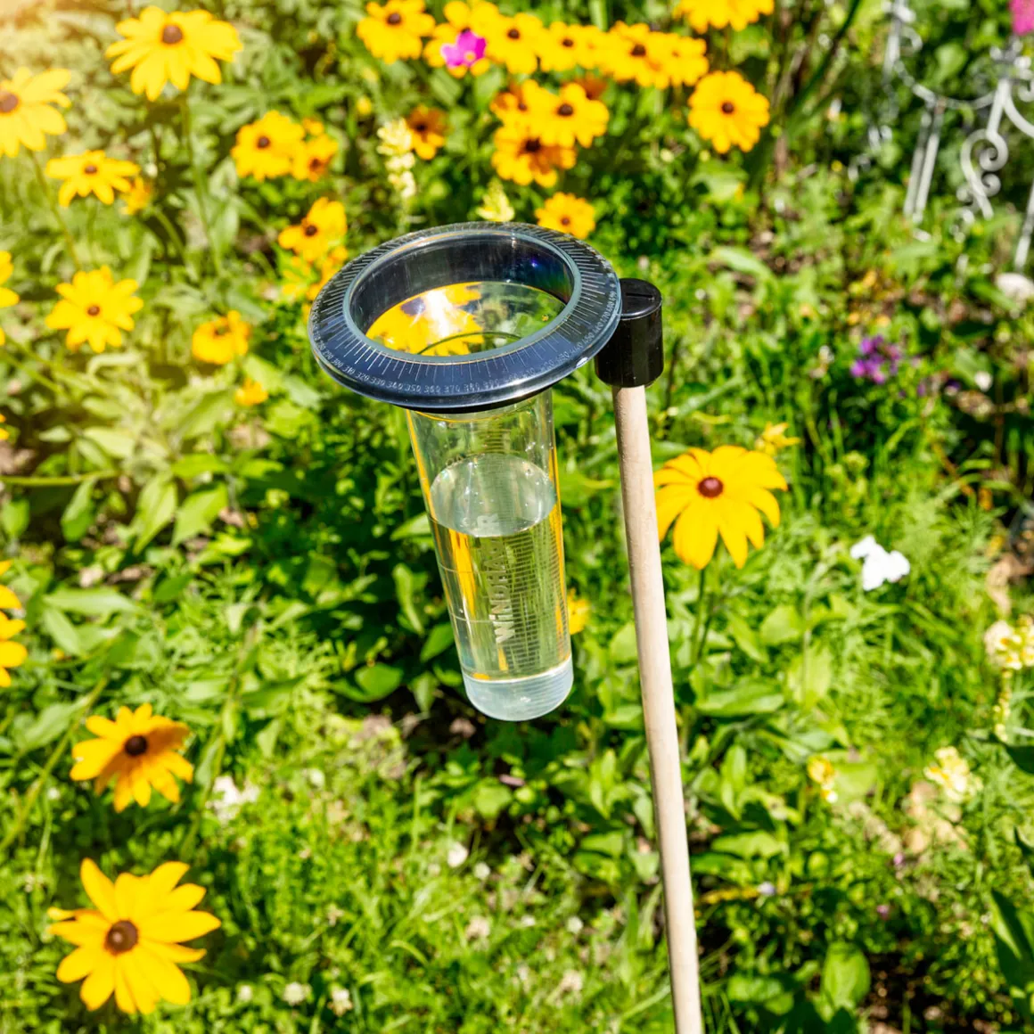 Windhager Profi-Regenmesser Memory