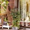 Windhager Tomaten-Rankturm 150x30 cm