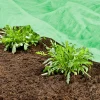 Windhager Wachstums-Vlies Supergrow 10x2 m