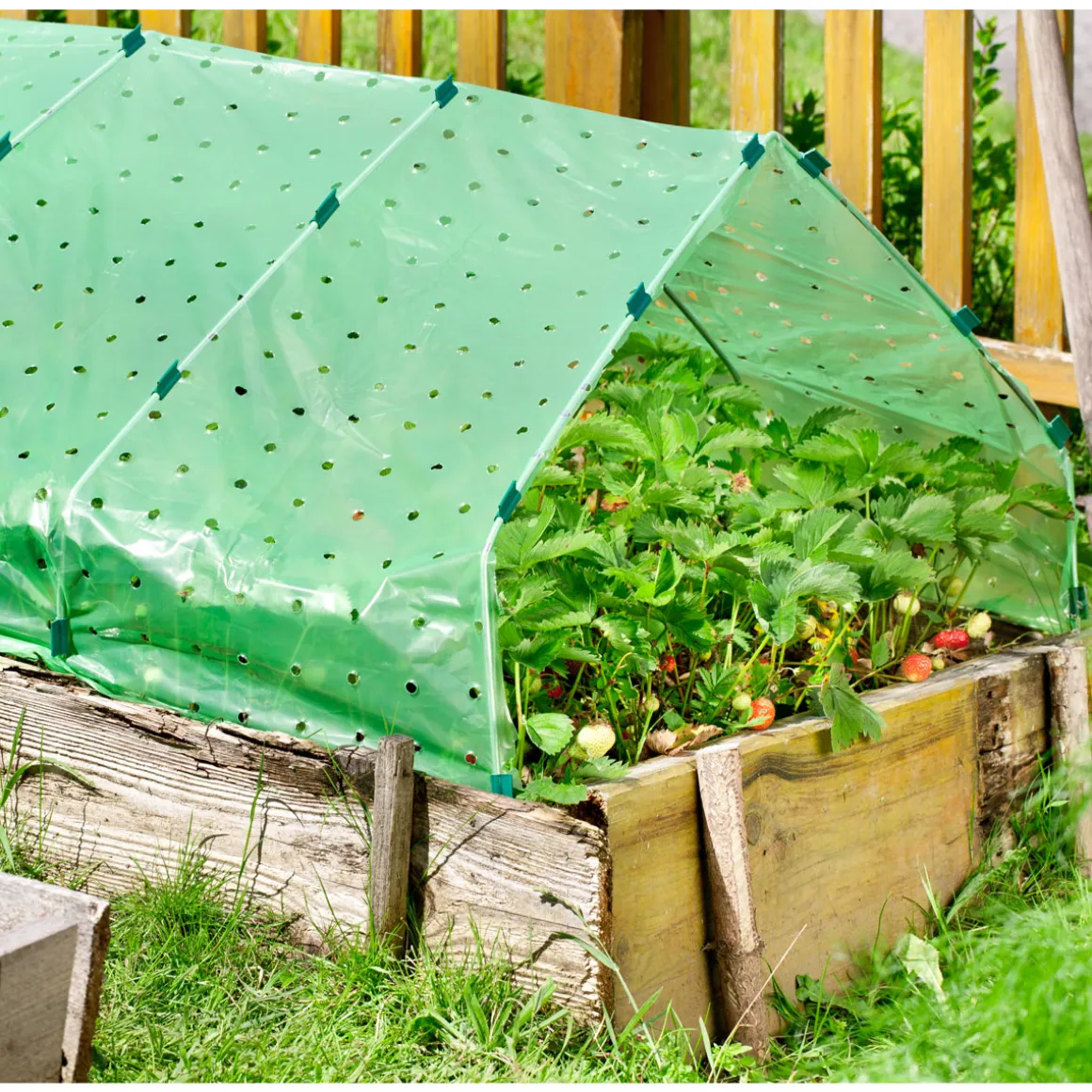 Windhager Frühbeet-Folie 10 x 1,5m