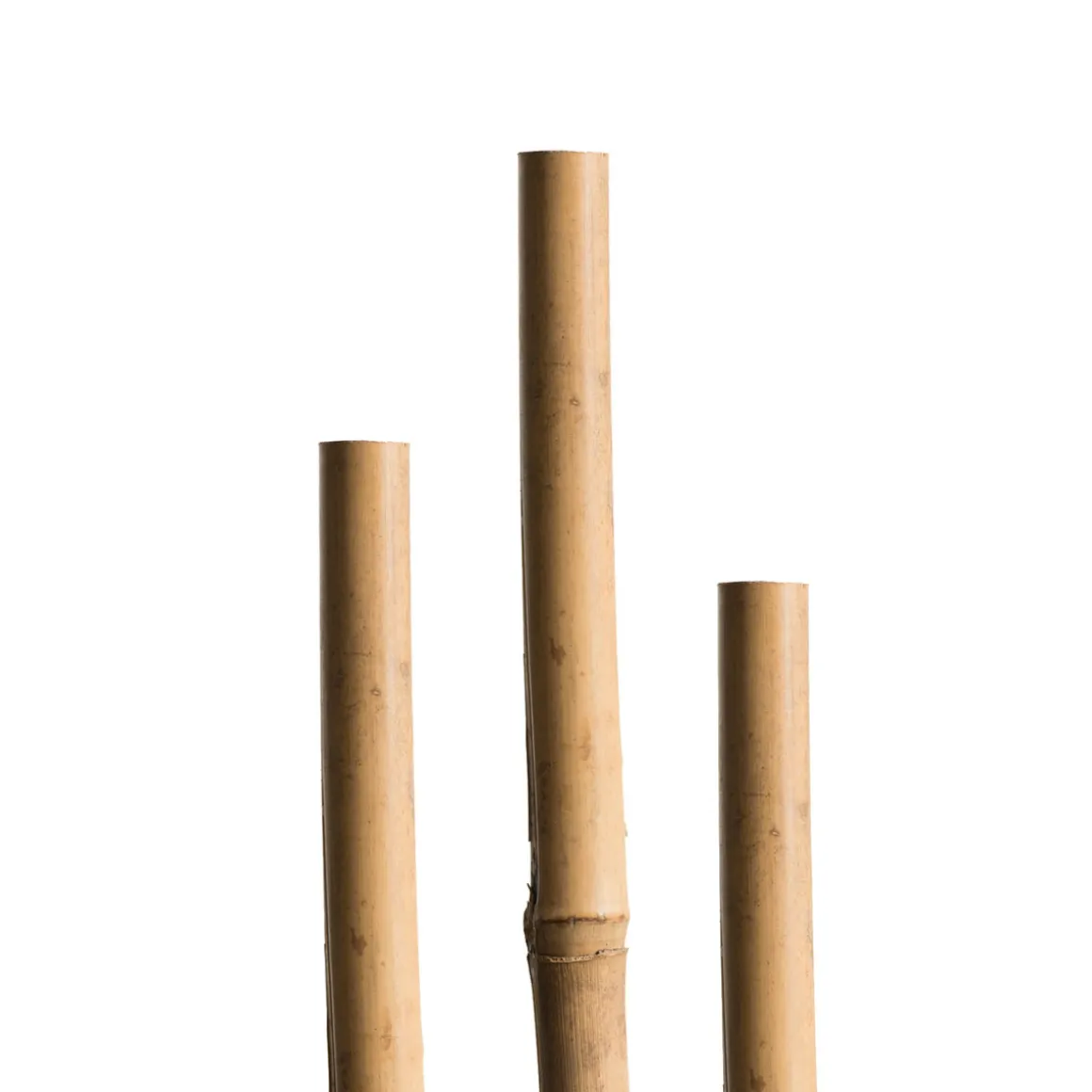 Windhager Splittstäbe 40 cm natur
