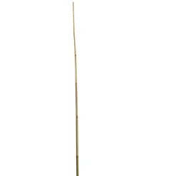 Wingart Bambusstab 210 cm