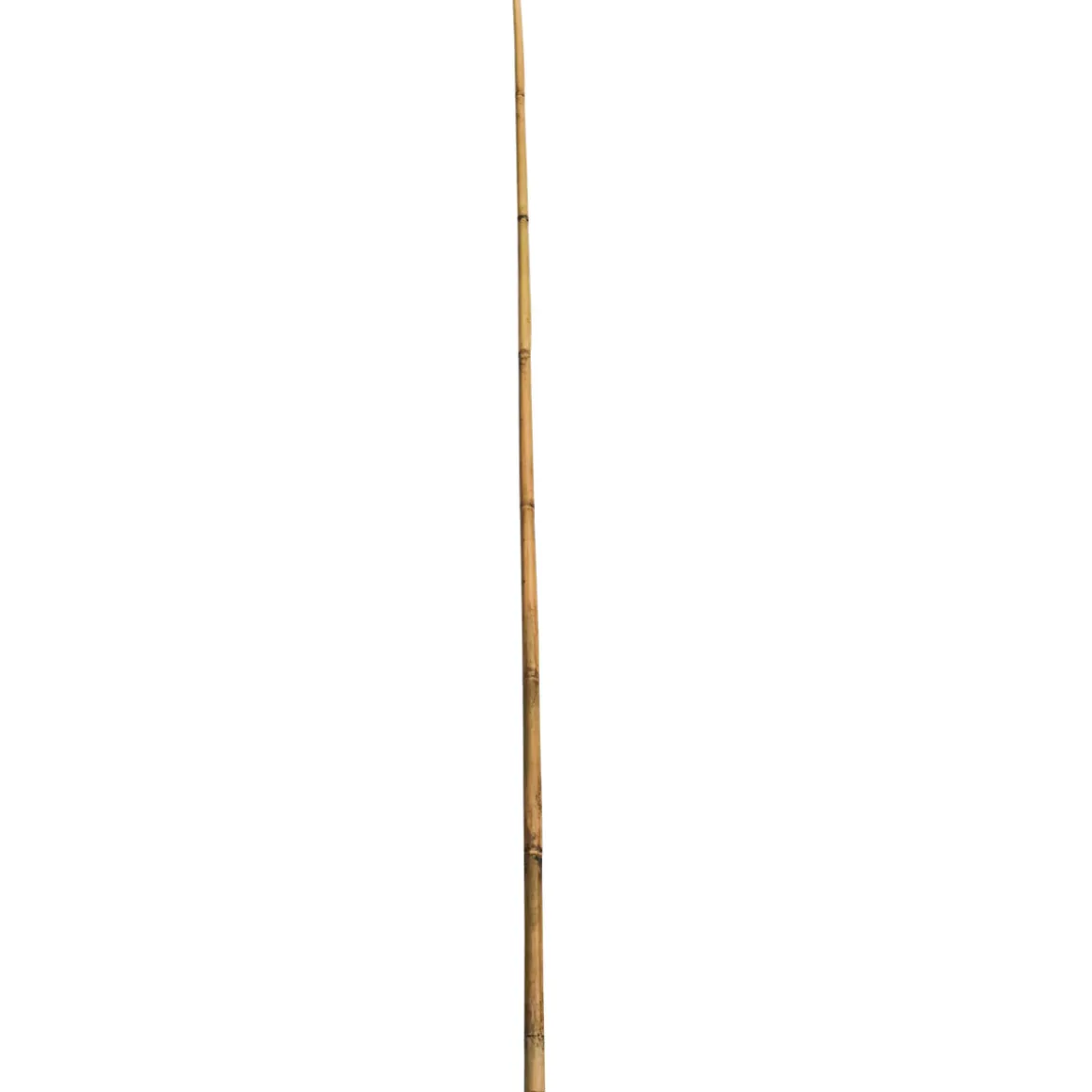 Wingart Bambusstab 240 cm