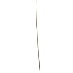 Wingart Bambusstab 120 cm