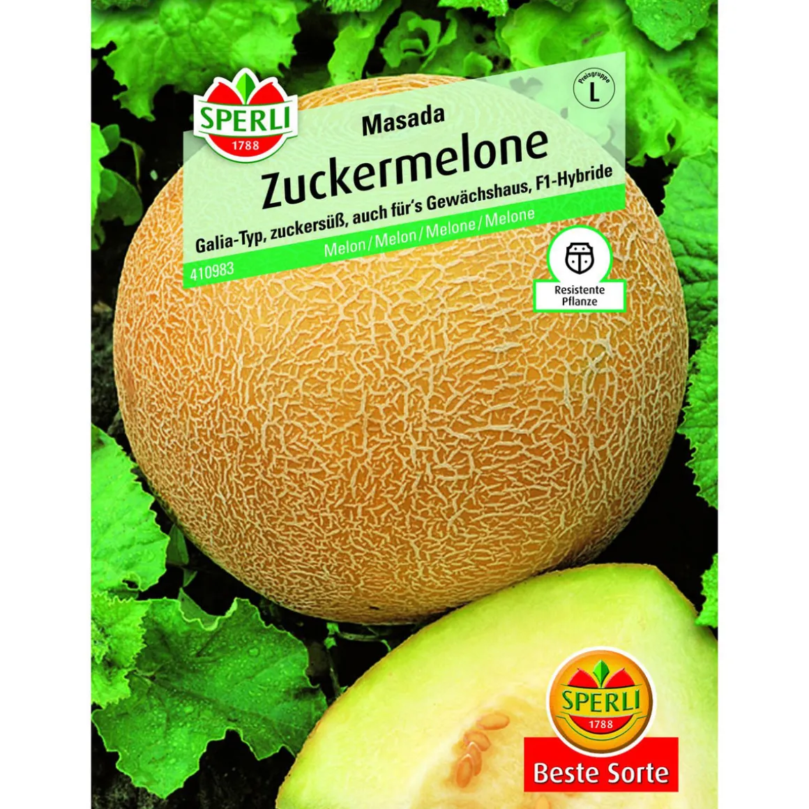 Zuckermelone Masada Galia-Typ